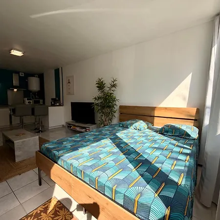 Apartamento Bain De Lumière Sous Les Palmiers à 30m De La - Laconciergeriebynina Palavas-les-Flots